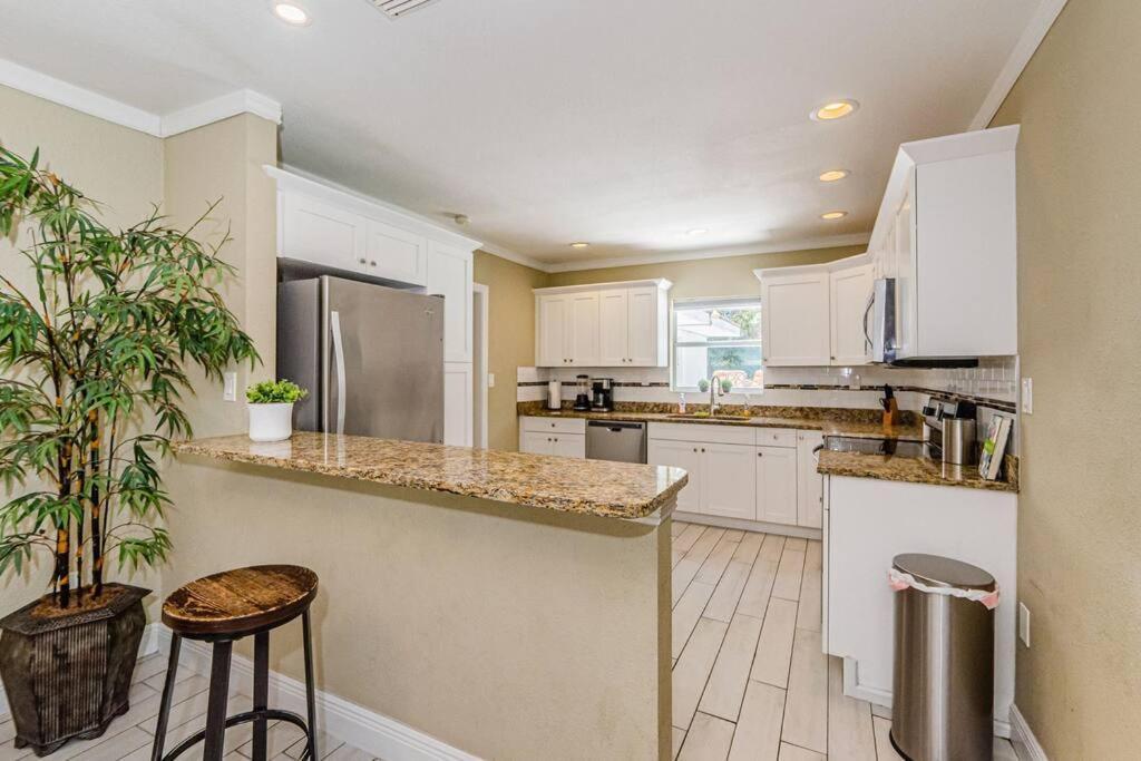 坦帕Beautiful Pool House In Old Seminole Heights!别墅 外观 照片
